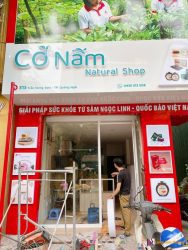 CÔNG TRÌNH CẢI TẠO SHOWROOM “SÂM NGỌC LINH – CỎ NẤM NATURAL”